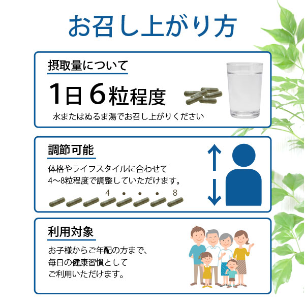 はなどおりのお召し上がり方