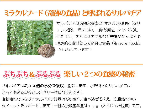 サルバチアはオメガ3をはじめ体に欠かせない栄養素がたっぷり!