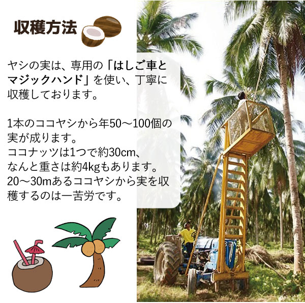 収穫方法