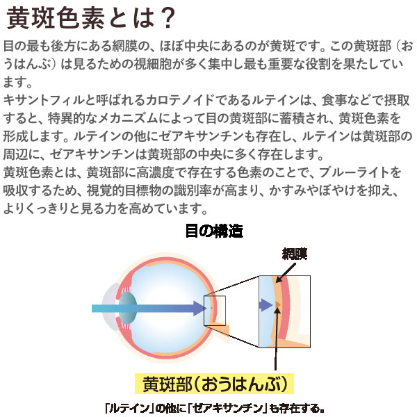 スーパー・ルテイン 製品概要 | スーパー・ルテイン | 製品情報 | ナチュラリー