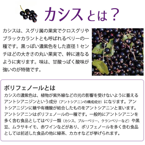 カシスとは