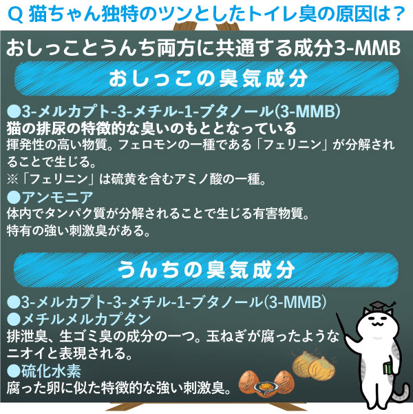 トイレ臭の原因