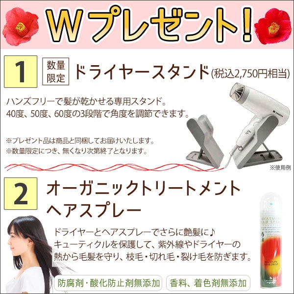【ヘアスプレープレゼント】電磁波低減 ヘアケアドライヤー ピンク(ZD-750P)【ゼンケン】【送料無料】
