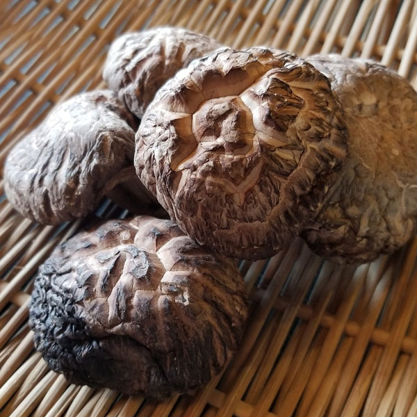 有機栽培どんこ椎茸・大分産（30g）【武久】