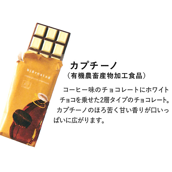 冬季限定】チョコレート・カプチーノ（100g）【bjornsted】