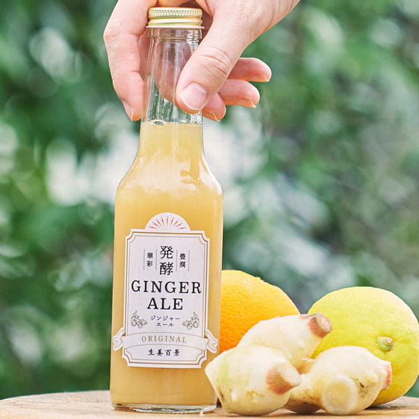 【4月新商品】【夏季限定】生姜百景 発酵ジンジャーエール ORIGINAL（250ml）ビン【後藤製菓】