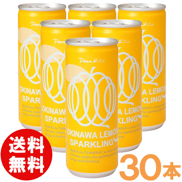 【6月新商品】【お得なまとめ買い】Dean＆Co．沖縄レモンスパークリング（250ml×30缶）【マルカイコーポレーション】【送料無料】【クーポン券使用不可】