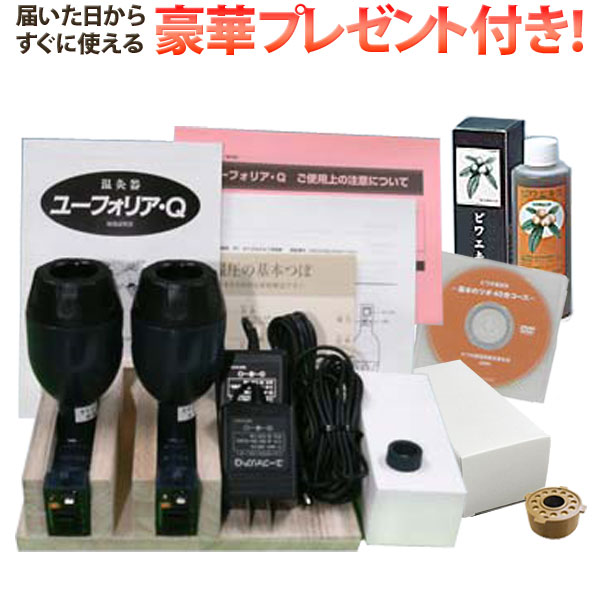【プレゼント付】ビワの葉温灸器 ユーフォリア・Ｑ本体セット【ティー・エス・アイ】【送料無料】