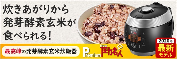 パワー スチームオーブン Newグランシェフ フォーマック