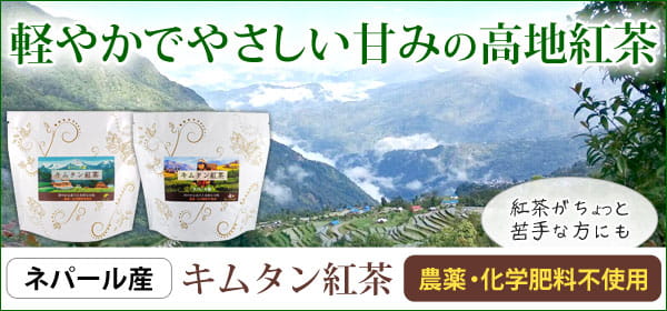 エンリッチミルク(120ml)【大高酵素】 基礎化粧品 スキンケア 乳液