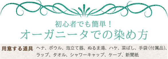 初心者でも簡単!オーガニータでの染め方