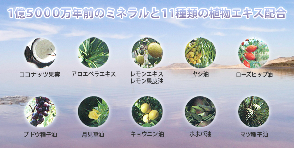エミュールミネラルバスパウダーにはミネラルがたっぷり エミュールミネラルバスパウダーにはミネラルがたっぷり