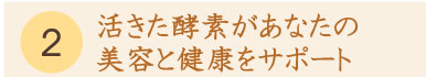 一日一糀の活きた酵素があなたの美容と健康をサポート 一日一糀の活きた酵素があなたの美容と健康をサポート