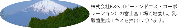 乳酸菌生産物質ビオネの工場