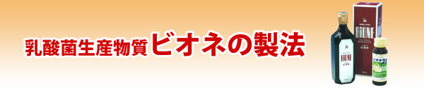 乳酸菌生産物質ビオネの製法