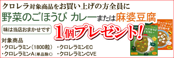 プレゼント