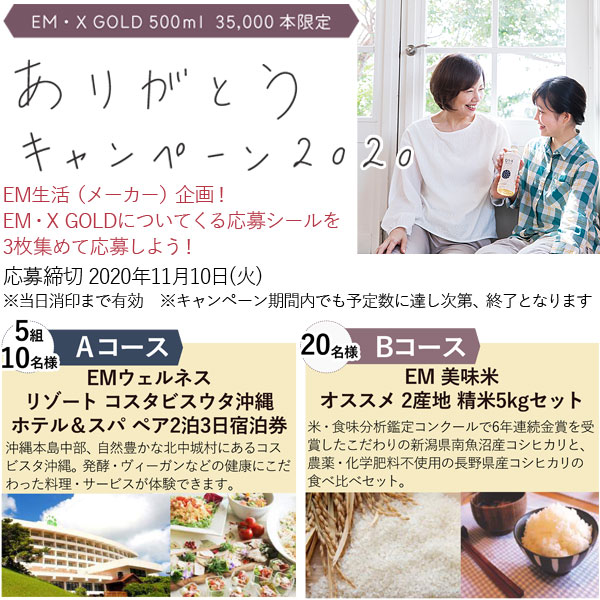 プレゼントキャンペーン