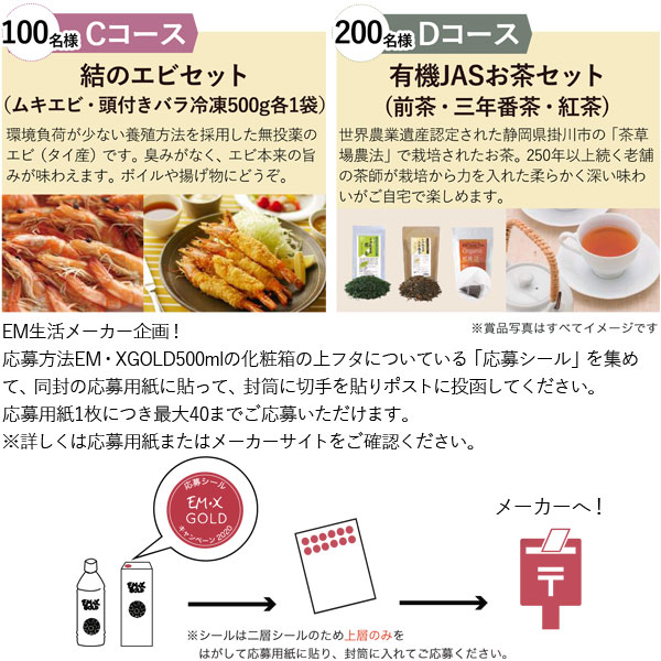 プレゼントキャンペーン