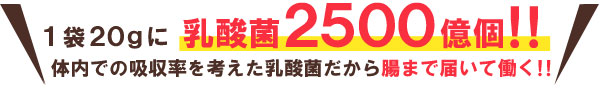 1袋に乳酸菌2500億個!体内での吸収率を考えた乳酸菌だから腸まで届く!!