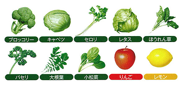 8種類の野菜と2種類の果物 8種類の野菜と2種類の果物