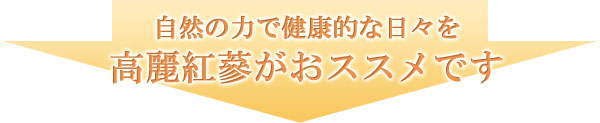 高麗紅蔘がオススメです