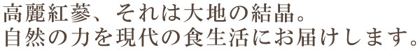 高麗紅蔘は大地の栄養がたっぷり詰まっています