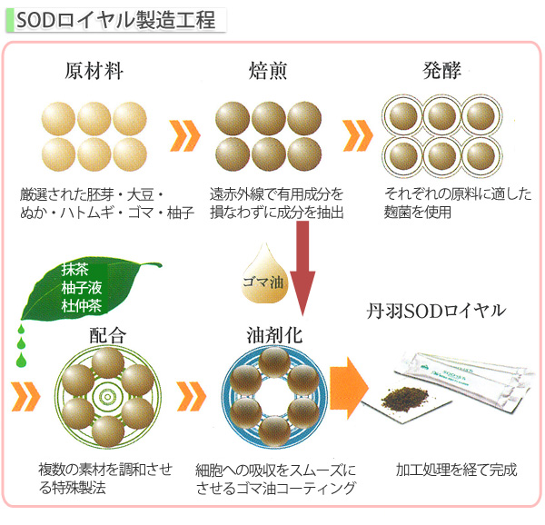 SOD-IST SODロイヤル じっくりゆっくり時間をかけています!製造過程 SOD-IST SODロイヤル