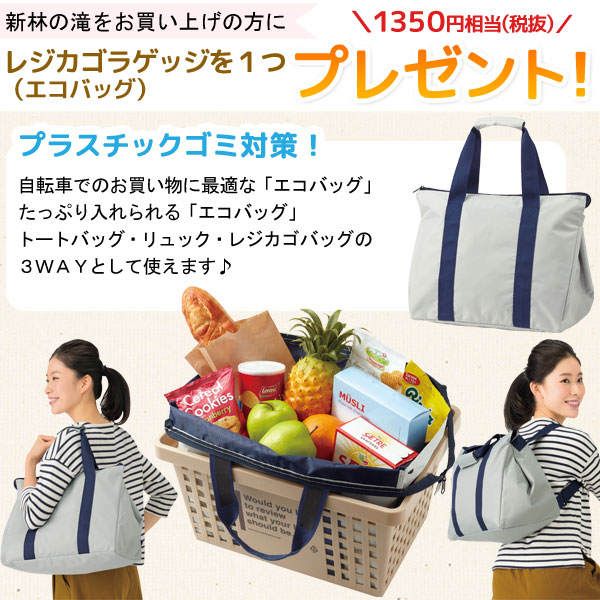 エコバッグプレゼント